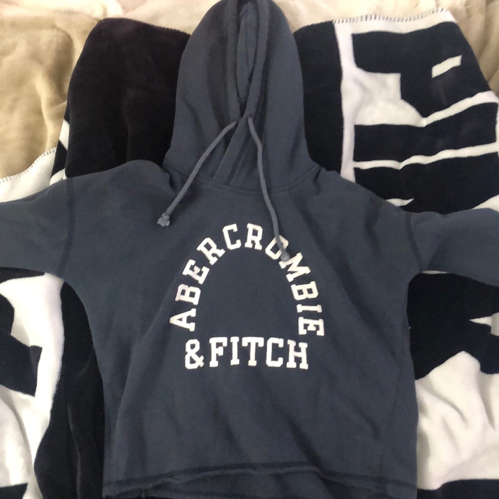 abercrombie & fitch cropped hoodie